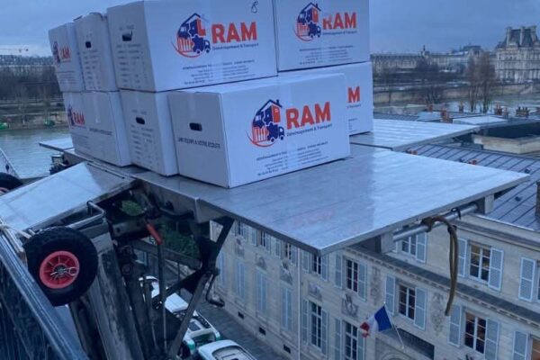 ramdemenagements (13)