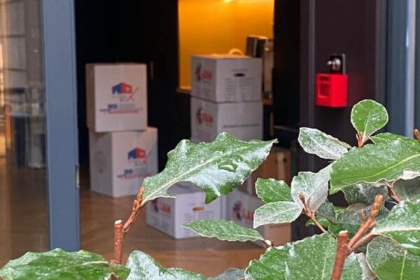 ramdemenagements (25)